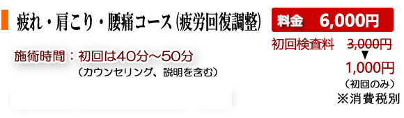肩こり・腰痛・疲れ・疲労回復調整